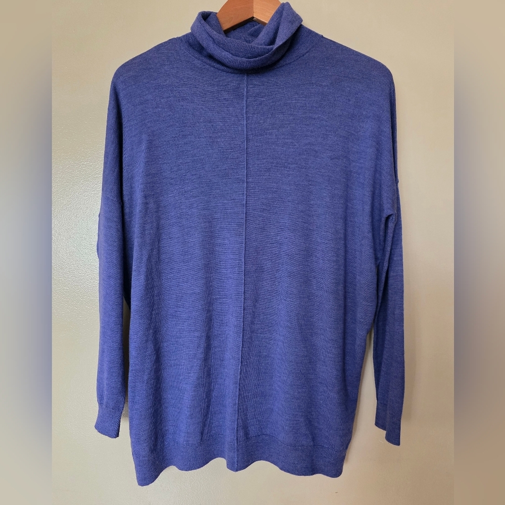 Eileen Fisher Fine Merino Jersey Turtleneck Sweater XS Quiet Luxury Minimalist